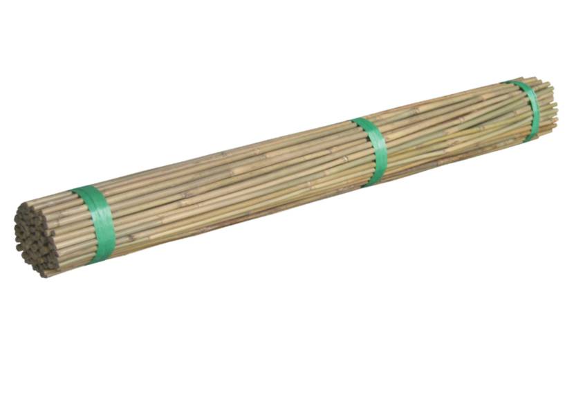Bamboo Canes 1200mmL 100 Pack *SPECIAL*