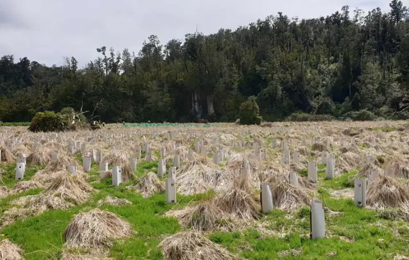 punakaiki-the-storm-aftermath-863