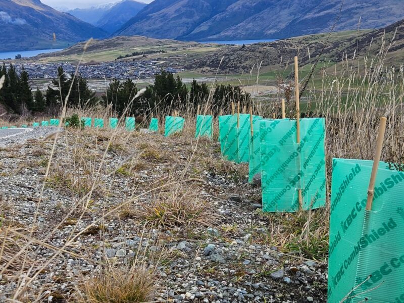 CombiShield Roadside