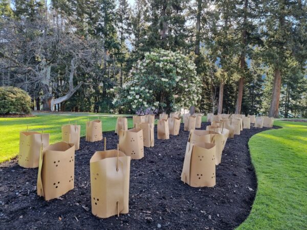 Doubled-up FiberGuard Queestown