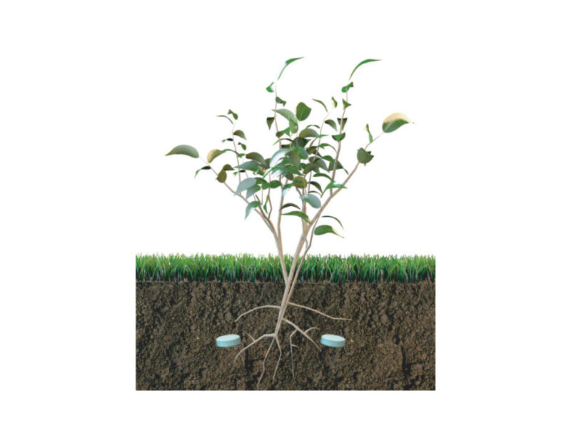 Fert Tab Plant