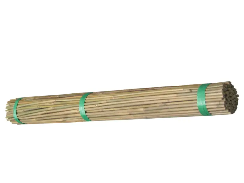 GP-002-bamboo-stakes-main