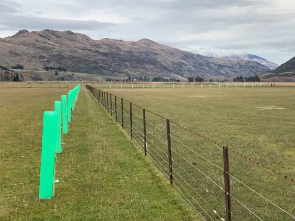 SquareGuard plant protector