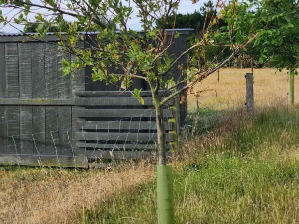 KBC Poplar + Willow Sleeve (1)