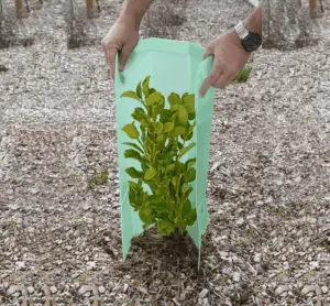 SquareGuard Plant Guard