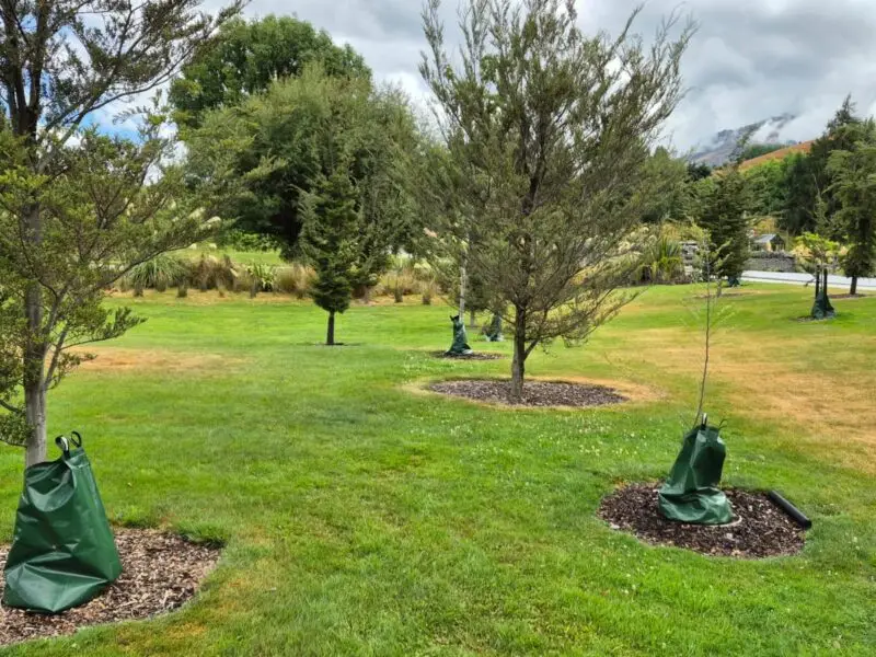 TreeSip Watering Bag-7