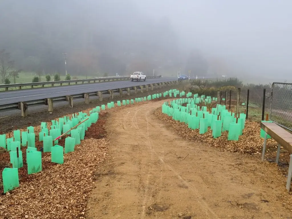 TriGuard - recyclable through Plant Guard to Post programme