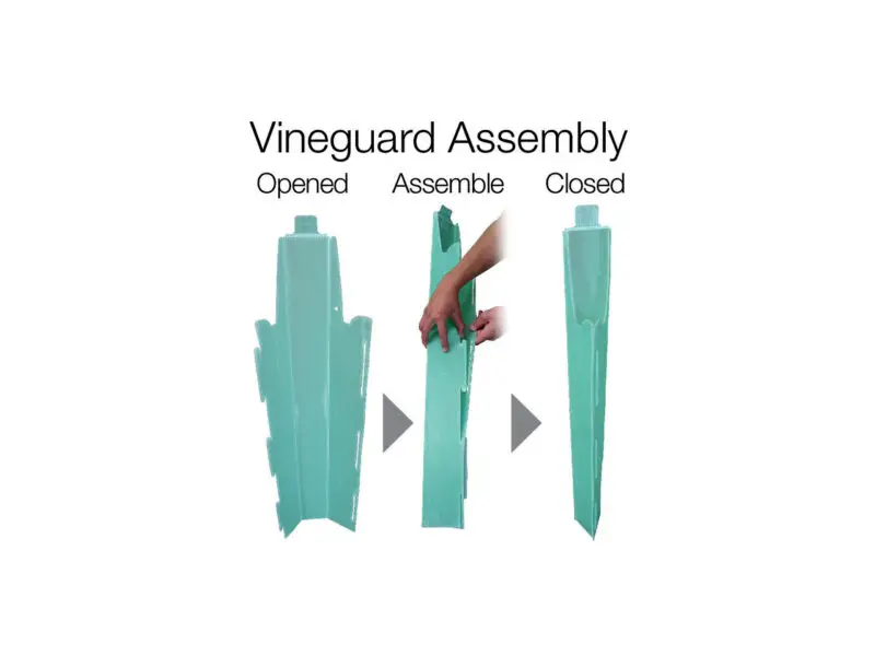 Vine-guard-assembly