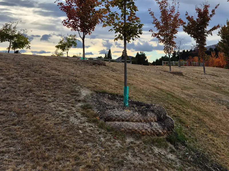 Web Product Coir Logs 1280x960px