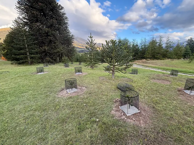 Web Product_Handy Mesh 1280x960px