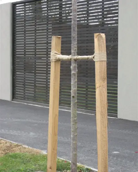 jute webbing in use