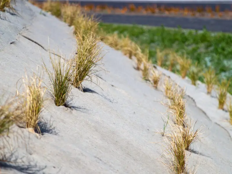 EcoWool Erosion Control