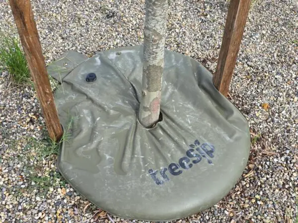 TreeSip Watering Ring