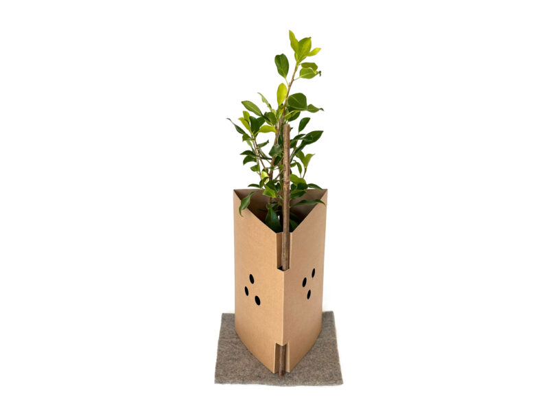 FiberGuard 450 with plant
