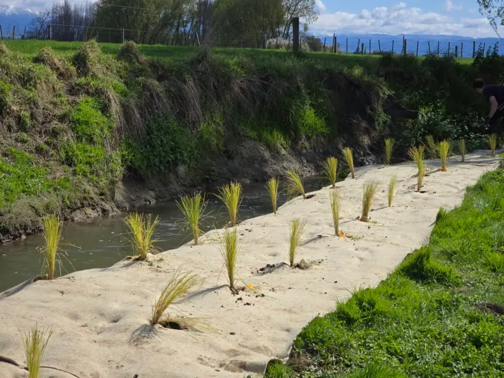 FuturFiber Hemp Matting