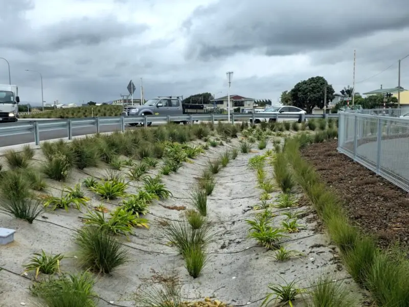 SH15 Awatoto Roundabout Project FuturFiber Dag Wool Matting