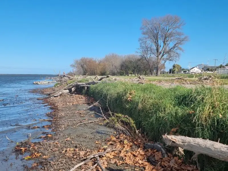 Flex MSE Wairoa Estuary