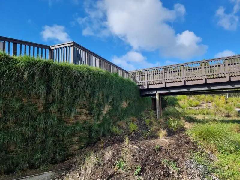 New Shoots Children's Centre Flex MSE