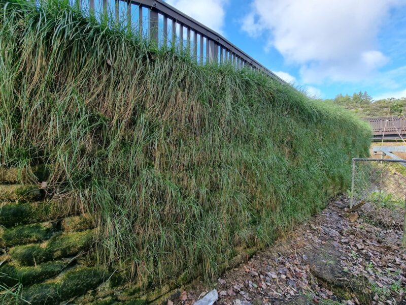 New Shoots Children's Centre Flex MSE