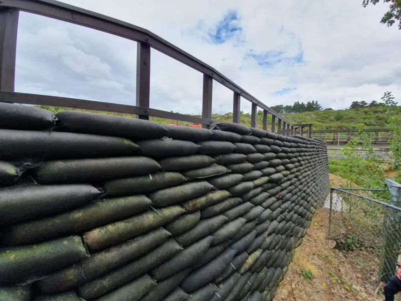 New Shoots Children's Centre Flex MSE