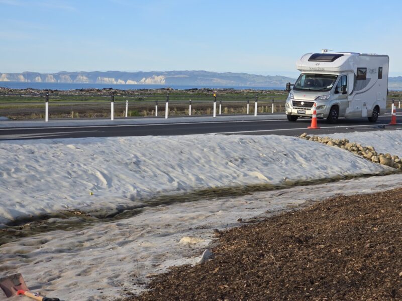 FuturFiber Dag Wool SH1