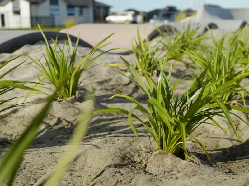 FuturFiber natural weed matting