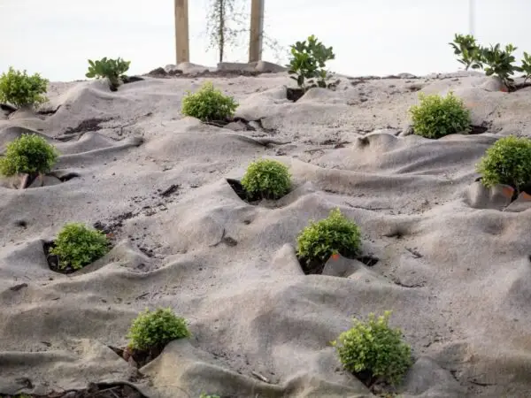 EcoWool - Marshs Road-10