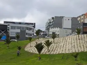 FuturFiber Hemp Basque Park