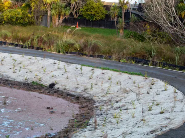 EcoWool - Northwood-15