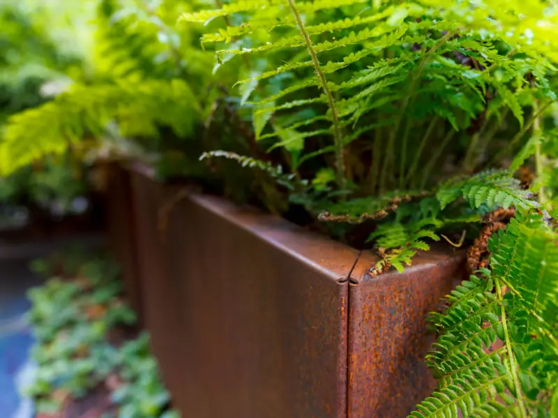 Carrez-Connect-Corner