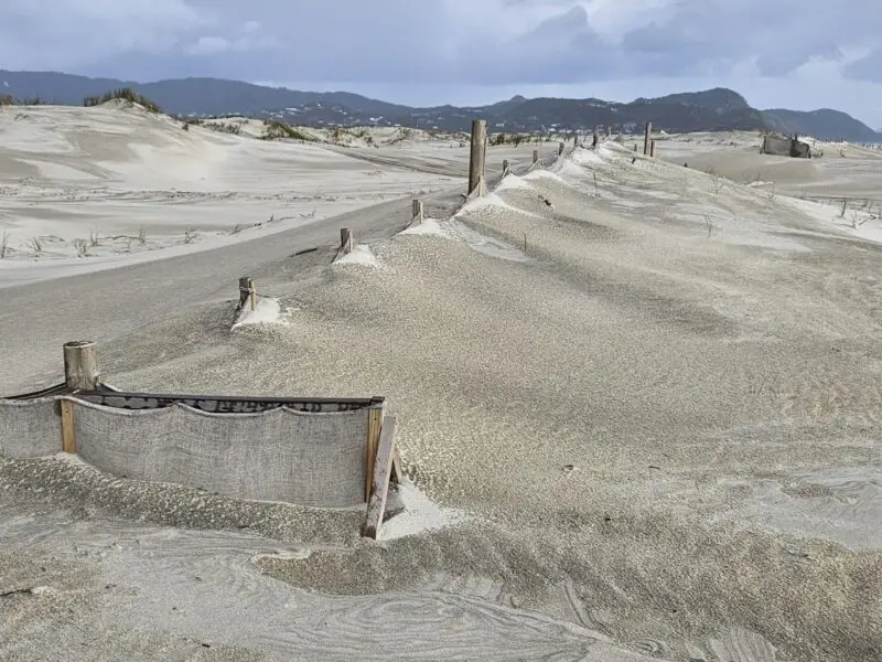 hessian_fence-in-use (2)