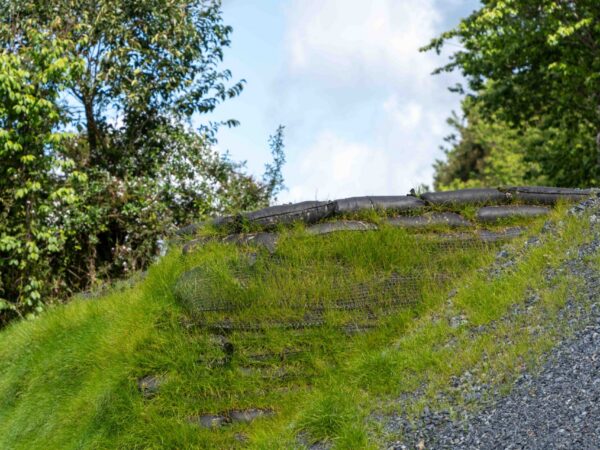 Whangarei 16-09-2025 Low-Res - 027