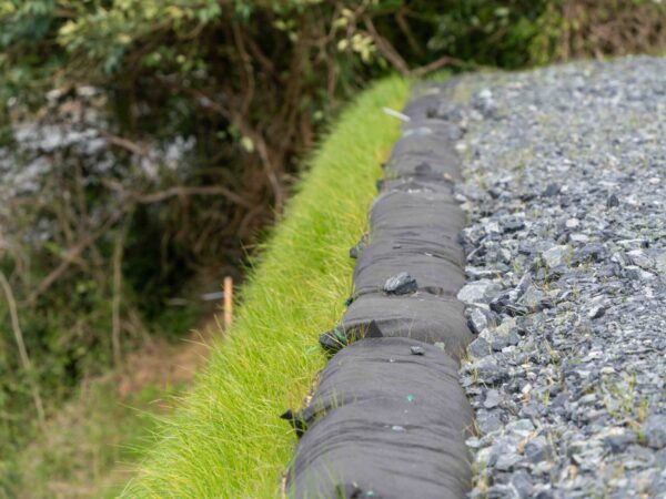 Whangarei 16-09-2025 Low-Res - 038