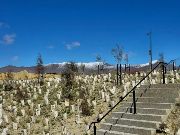 FiberGuard Plant Protector