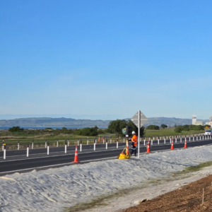 FuturFiber Wool Matting