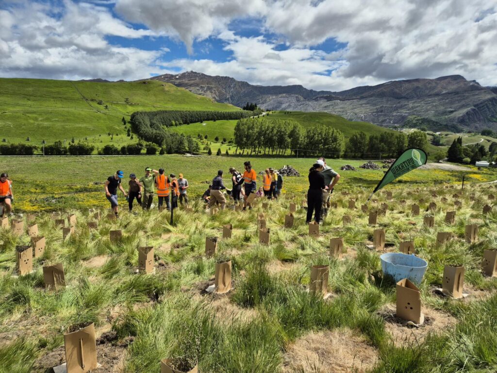 Biodegrable FiberGuard and natural fiber mulch mats for plant establishment