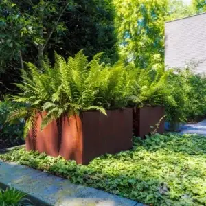 Carrez Connect Archipello.