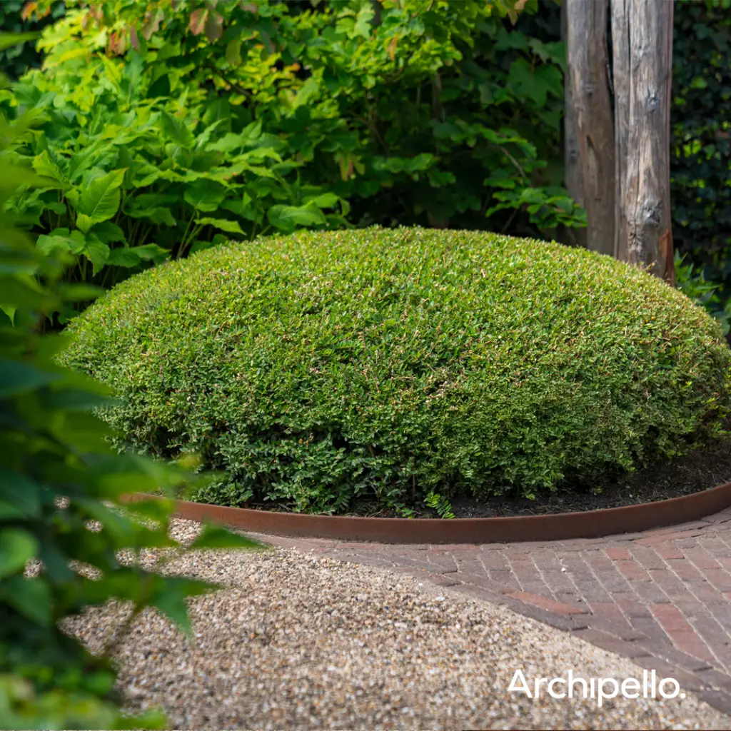 Archipello. Edging in Corten Steel