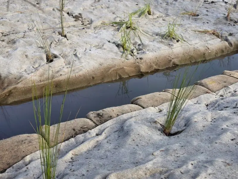 Greens Stream EcoWool 12