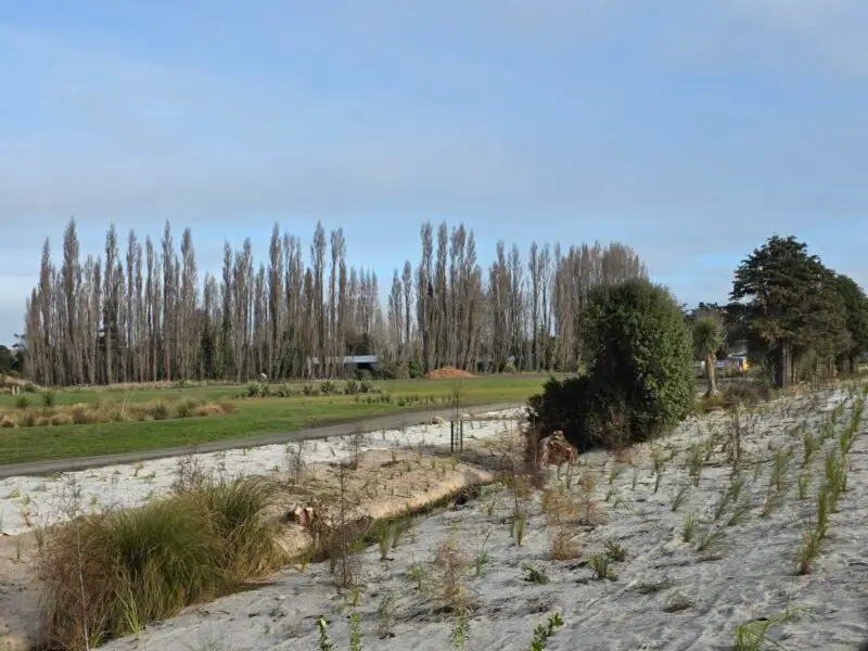 Greens Stream EcoWool 8