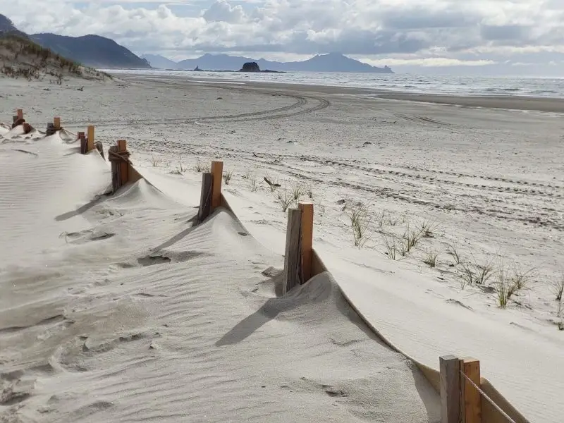 Hessian Dune Fencing_3