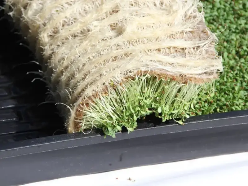 grow-mat-11_orig
