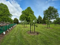 Black Painted Tree Stakes
