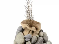 23125-futurfiber-wool-wonton-planting-bag-planted