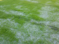 23730-hessian-grass-strike-mesh-main