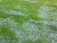23730-hessian-grass-strike-mesh-main