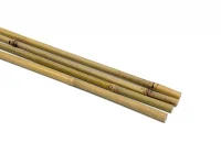 Bamboo (1)