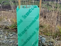 CombiShield in-situ