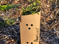 FiberGuard 2.0 Pre-assembled biodegradable plant guard