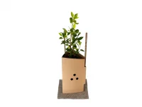FiberGuard 300 with plant